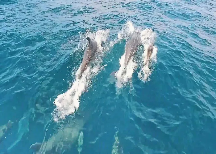 Willa Villa In Cerro De Aguia With Private Pool